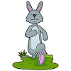 Lapin Jogging Fitness