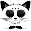 Look me in the eyes - Cat Noir Sarcastic humor