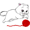 Cat and a thread ball