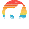 Bergamo Shepherd Dog