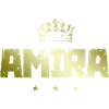 Amira