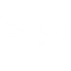 Basset Hound