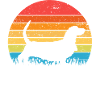 Basset Hound