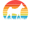 Basenji