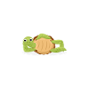 Funny Turtle Design Pet