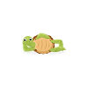 Funny Turtle Design Pet