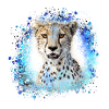leopard, cat, wildcat, graffiti, painting,blue