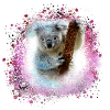 koala ,pink,graffiti,malerei,koalabär, brush