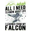 Falcon Gift Falcon Breeding Falcon Breeder Falconer