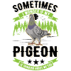 Pigeon fancier city pigeon