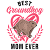Murmeltier Maman Marmotte Maman Woodchuck