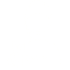 Vegan Boy