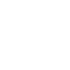 Veggie Boy