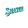 Shawn name personalized
