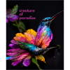 Paradise creature - a beautiful, colorful hummingbird