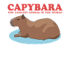 Capybara Capybaras Capybaras Capybara Gave