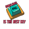 Software Engineer Computer Key Programming