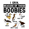 Funny Booby Seabirds Collection