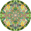 boudharieur