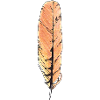 Big Feather Orange Handritad (Red Kite)