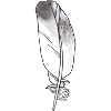 Small feather grey hand-drawn (pigeon)