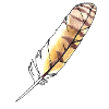 Feather brown-yellow hand-drawn (long-eared owl)