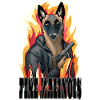 Malinois Badboy