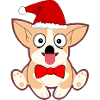 Christmas dog
