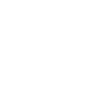 Wok