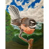Bird N.F.