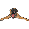 Malinois Belgian Shepherd Mechelaar Dog