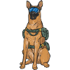Malinois Belgian Shepherd Mechelaar Dog