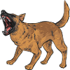 Malinois Belgian Shepherd Mechelaar Dog