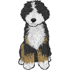 Bernedoodle Dog Gift