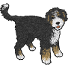 Bernedoodle Dog Gift