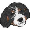 Bernedoodle Dog Gift
