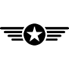 I'm a star with wings