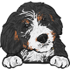 Bernedoodle Dog Gift