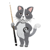 Snooker Pool Billiards