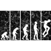 Evolution Skateboarder Skateboard Skater Skate