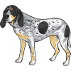 Bluetick Coonhound gift funny saying