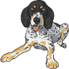 Bluetick Coonhound gift funny saying