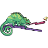Chameleon Lizard Reptile Herpetologist