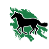 Cheval Rythme Cardiaque Équitation