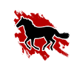 Cheval Rythme Cardiaque Équitation