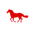 Cheval Rythme Cardiaque Équitation