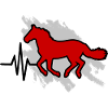 Cheval Rythme Cardiaque Équitation