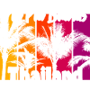 Îles Phi Phi Thaïlande