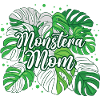 Variegated Monstera Mom