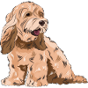 Cadeau de chien Cockapoo